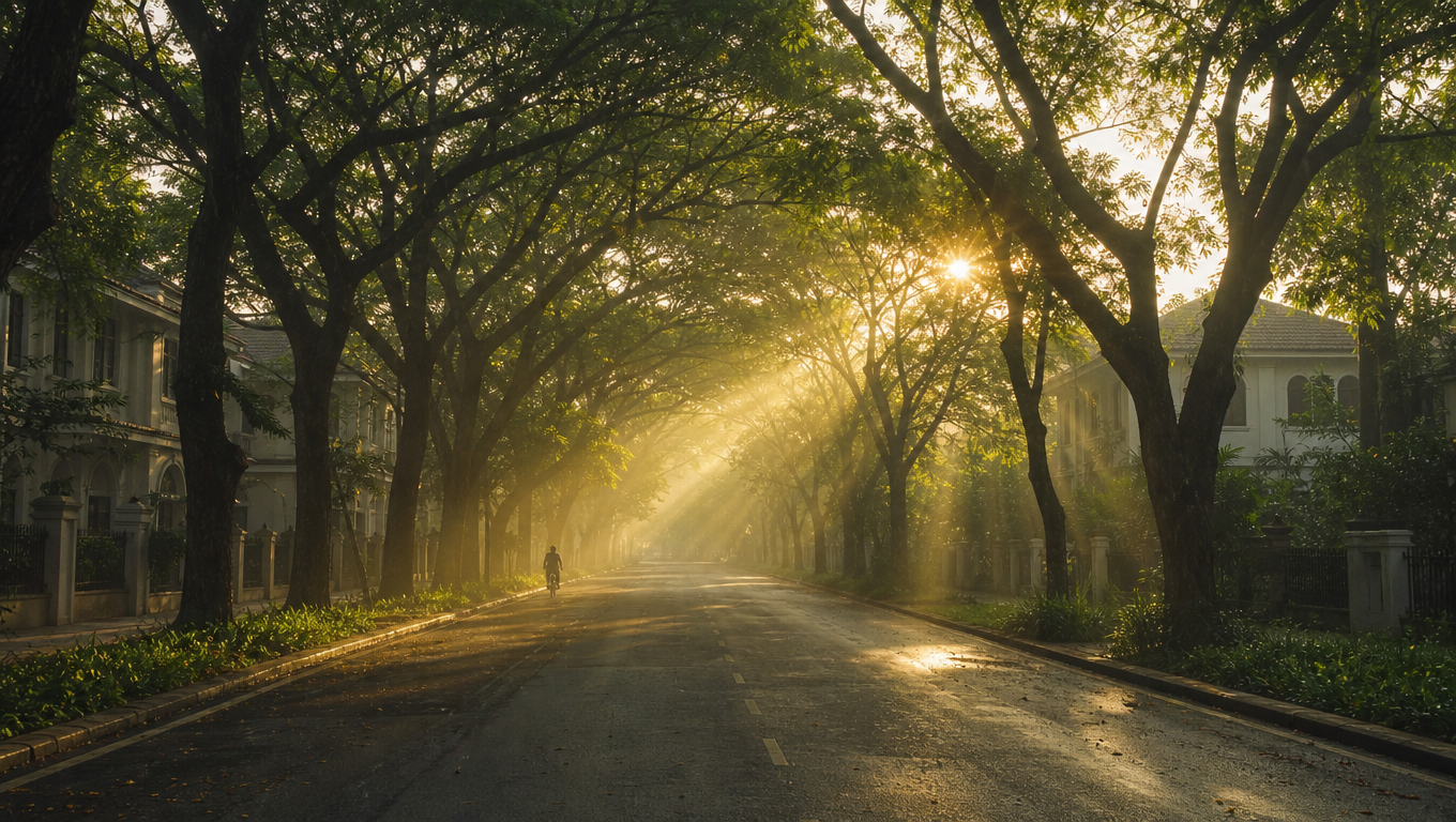 Wide tree-lined city avenue with rain trees meeting overhead and sun shafts through morning haze.