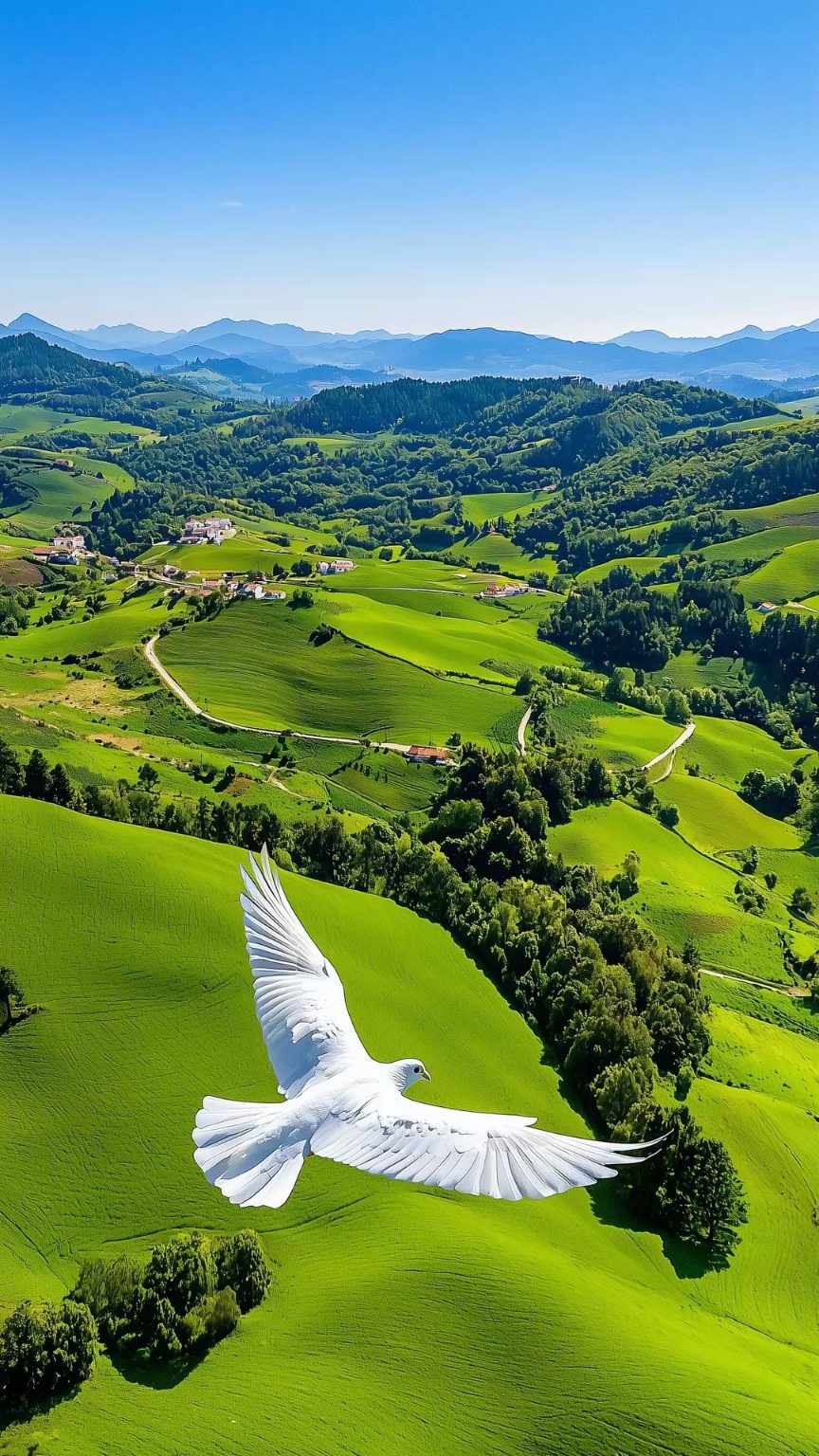White dove gliding with spread wings above bright green rolling hills and distant blue mountains.