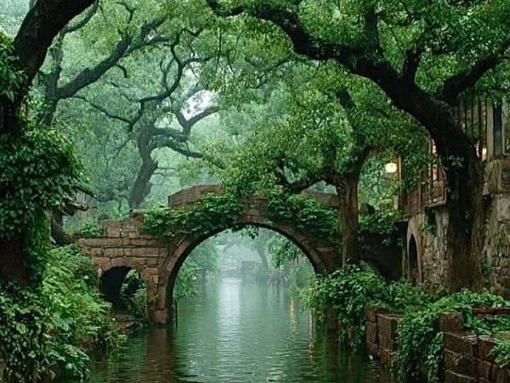 Ivy-covered stone arch bridge over a green canal beneath huge overhanging trees in misty rain.